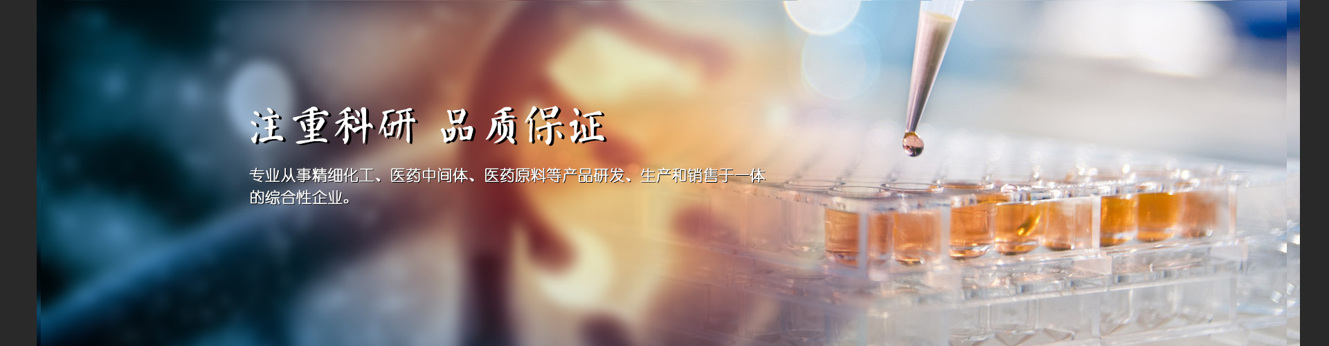 企業(yè)簡(jiǎn)介